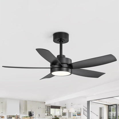 Breezary 65/52/42 5-Blade LED Ceiling Fan with Light Kit and Remote
