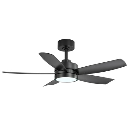 Breezary 65/52/42 5-Blade LED Ceiling Fan with Light Kit and Remote