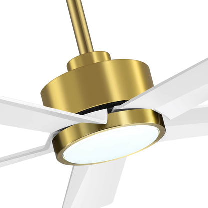 Breezary 65/52/42 5-Blade LED Ceiling Fan with Light Kit and Remote