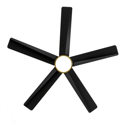 Breezary 65/52/42 5-Blade LED Ceiling Fan with Light Kit and Remote