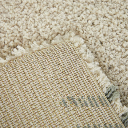 Carson Shag Area Rug