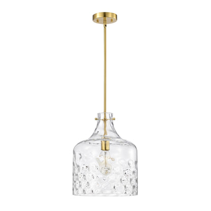Daelan Clear Dimpled Glass Single Light Pendant Light - 12in
