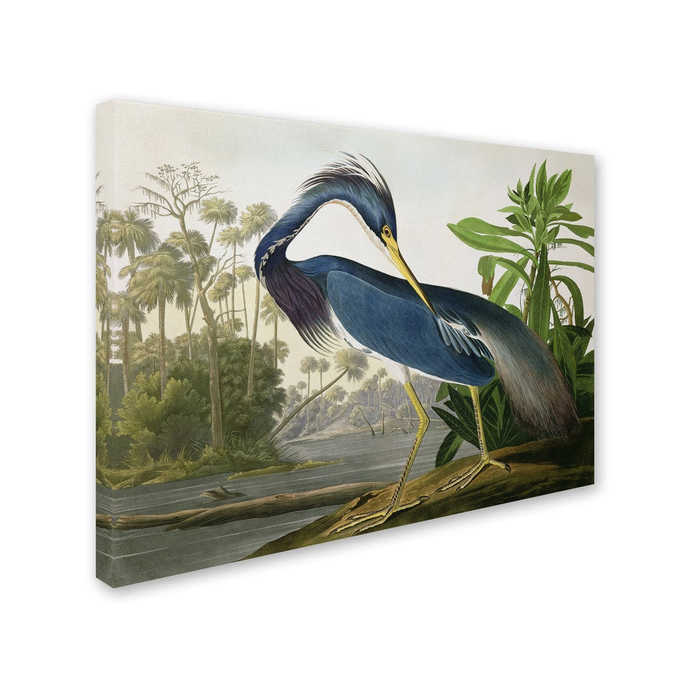 The Curated Nomad John James Audubon 'Louisiana Heron' Canvas Art