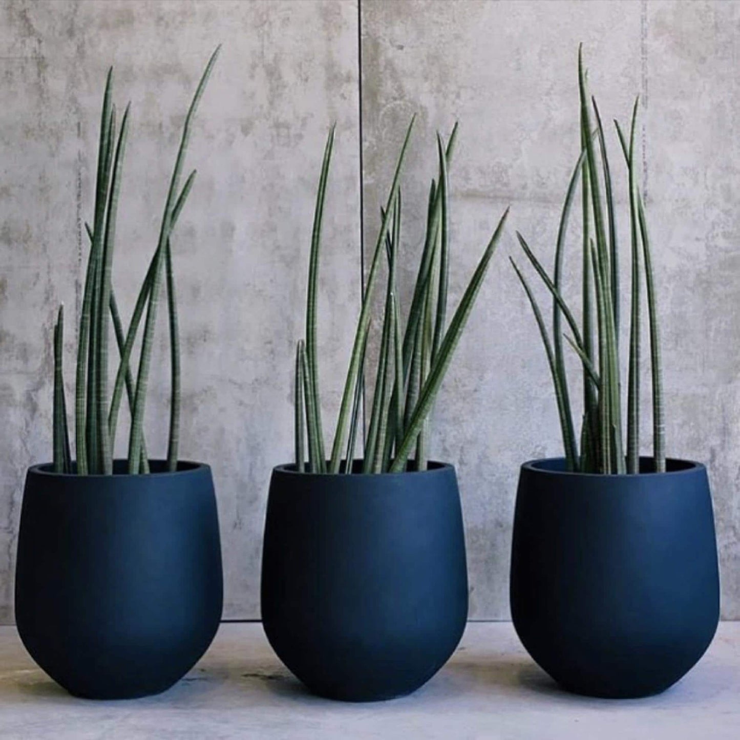 DreamPatio La Mirada 1-piece Fiberstone Tapered Planter for Indoor/Outdoor