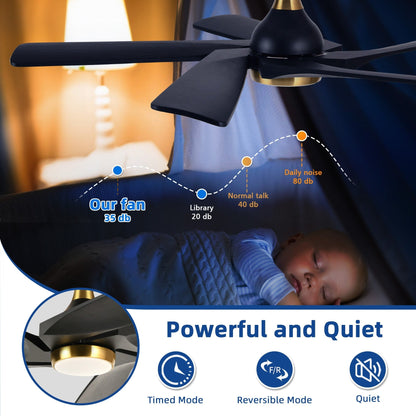 Moasis 52 Modern Remote Control Ceiling Fan with Lights and 5 Solid Wood Blades