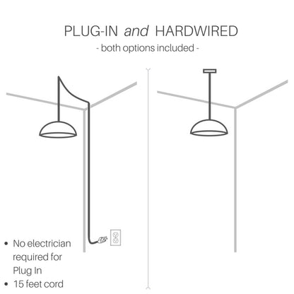 Silver Orchid Wallock Glass and Faceted Crystal Glass Jewels Plug-in and Hardwire Hanging Pendant