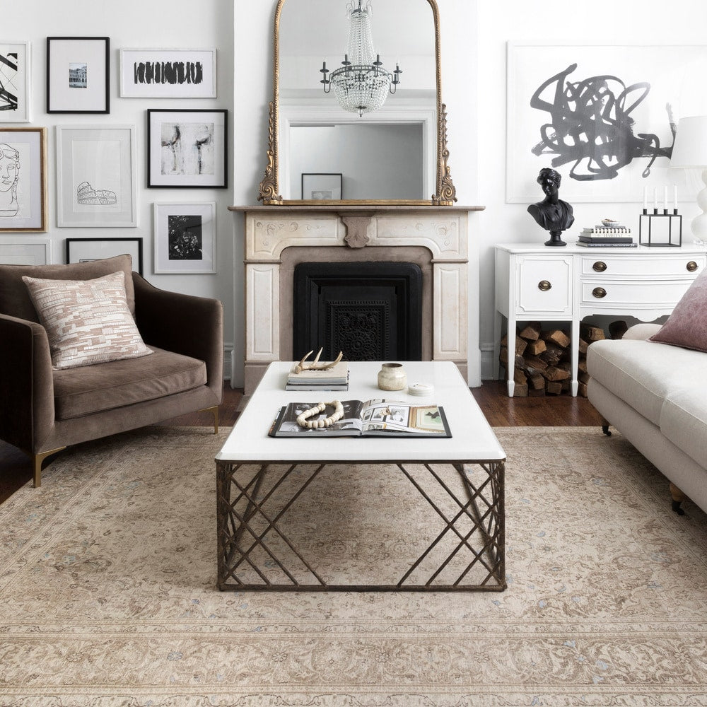 Alexander Home Tremezzina Distressed Shabby Chic Area Rug